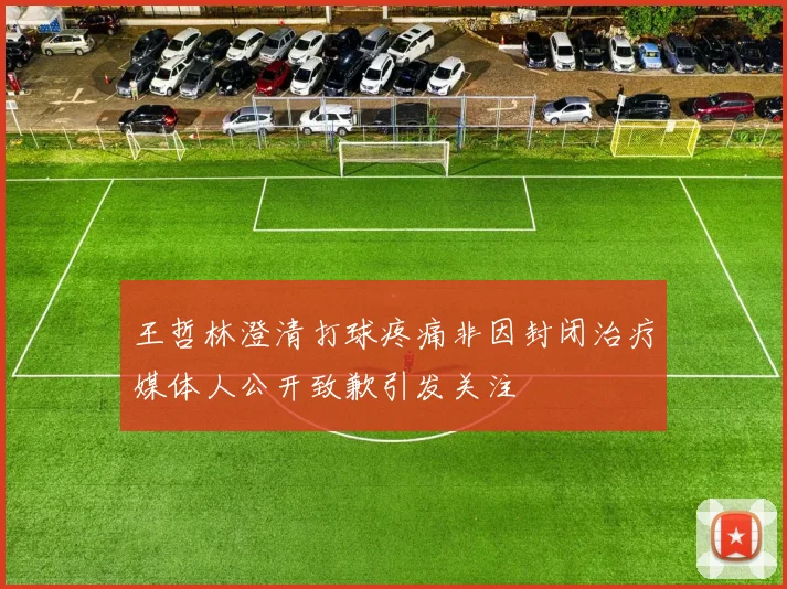王哲林澄清打球疼痛非因封闭治疗媒体人公开致歉引发关注