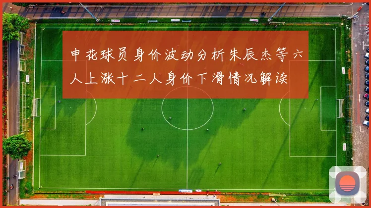 申花球员身价波动分析朱辰杰等六人上涨十二人身价下滑情况解读
