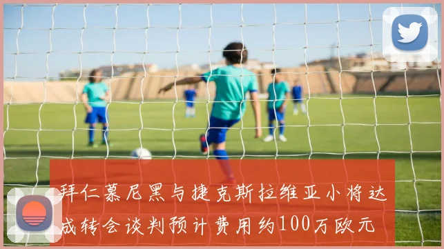 拜仁慕尼黑与捷克斯拉维亚小将达成转会谈判预计费用约100万欧元