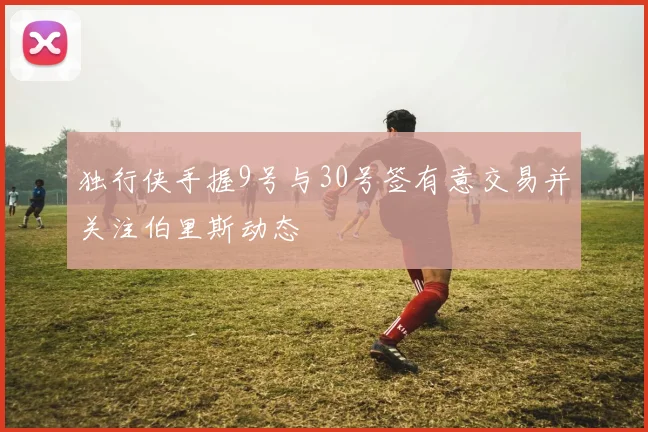 独行侠手握9号与30号签有意交易并关注伯里斯动态